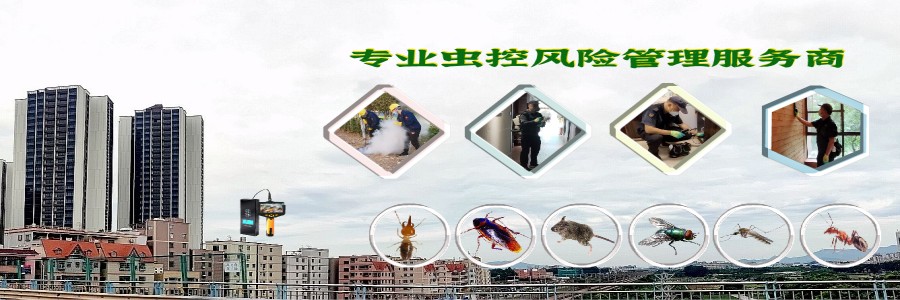 手机端banner